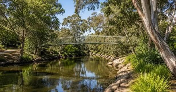House cleaning in Ivanhoe, Melbourne