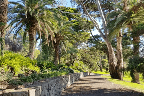 House cleaning in Footscray, Melbourne